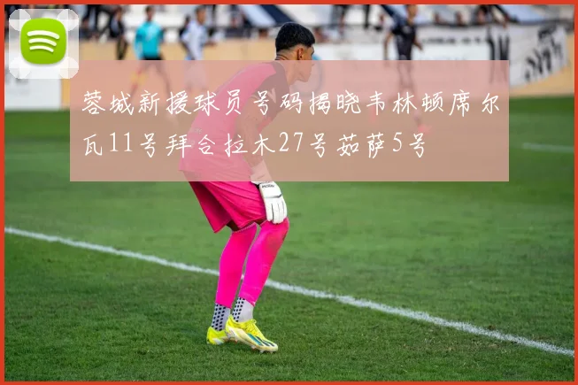 蓉城新援球员号码揭晓韦林顿席尔瓦11号拜合拉木27号茹萨5号