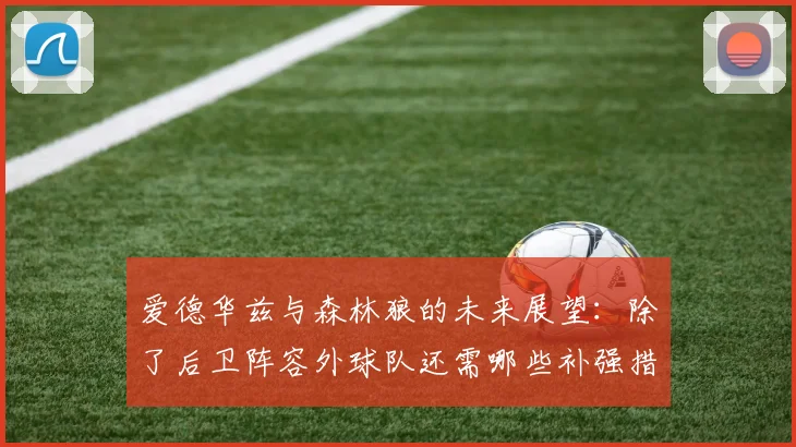 爱德华兹与森林狼的未来展望：除了后卫阵容外球队还需哪些补强措施
